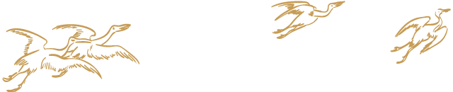“你”看中的是利息,“非法集資”卻看中的是你的本金